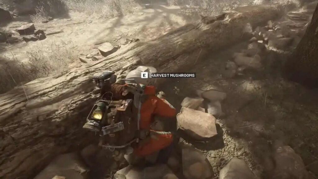 Finding mushrooms in ARC Raiders is a bit tricky.