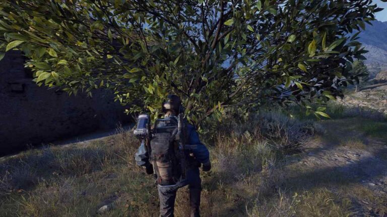 Lush Blooms in 'ARC Raiders' (Image: Embark Studios)