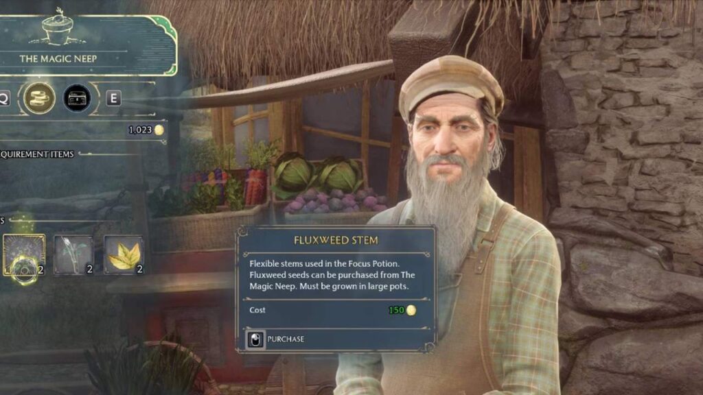 The Magic Neep in Hogwarts Legacy.