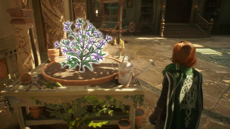 Fluxweed in 'Hogwarts Legacy' (Image: Avalanche Software)