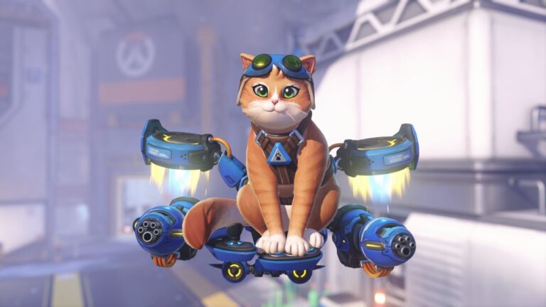 Jetpack Cat in 'Overwatch' (Image: Blizzard)