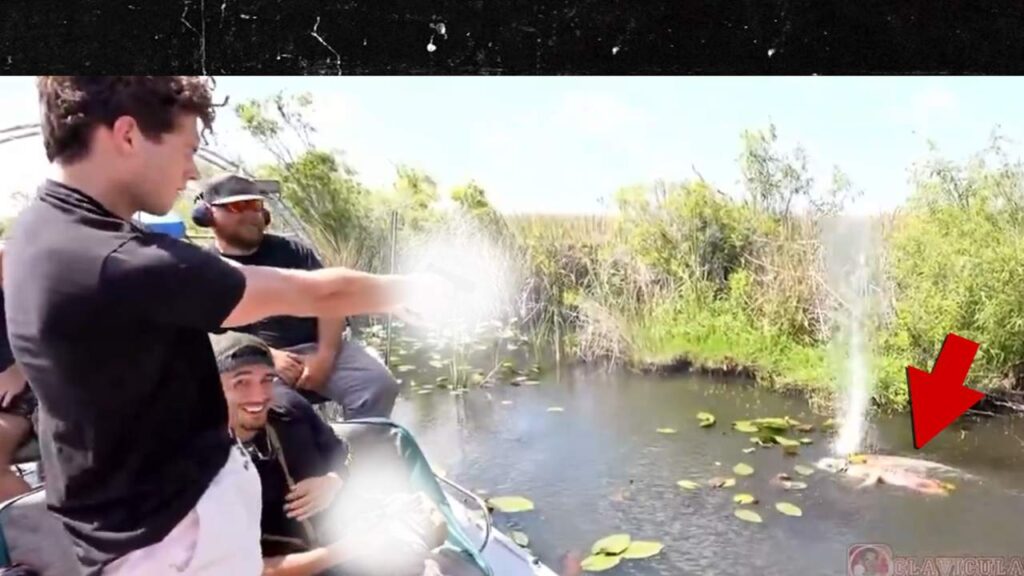 Clavicular (Image: TMZ)