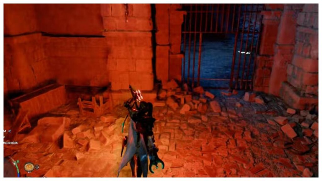 the Demeniss Royal Guard Shield 