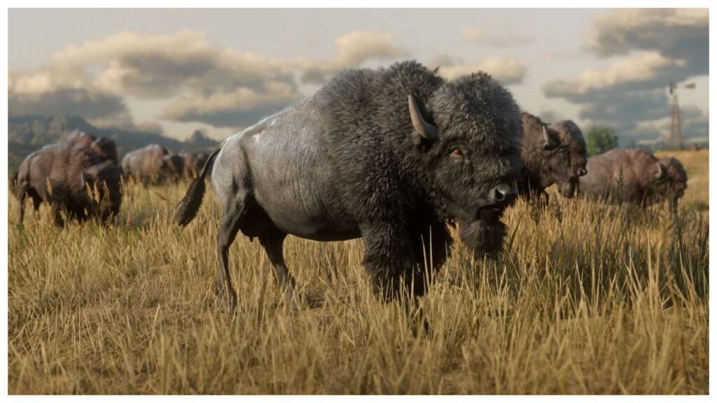 Crimson Desert (Image-Pearl Abyss)